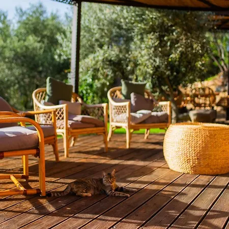 Holiday home Bioloco *